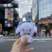 みみみの画像