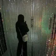 みるくてぃー( ¨̮ )の画像