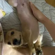 m.y＊プロフ読んでください＊