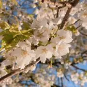 なっち☺︎の画像