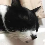 無言即決歓迎✨の画像