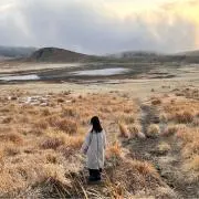 なーの画像