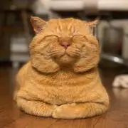 ホッペ
