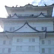 ピーの画像