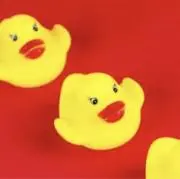 ＊＊紹介文を見てください＊＊