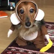 みなちゃん