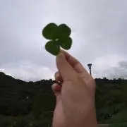 福の画像