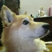Miki's @即購入OK!!の画像