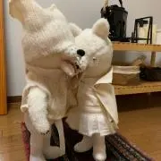 pototteの画像