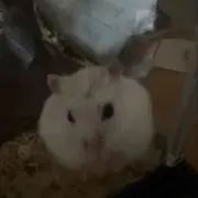 たろ