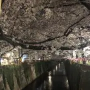 takaの画像