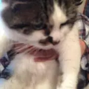 さらら