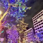 ⸜(  ॑꒳ ॑  )⸝の画像