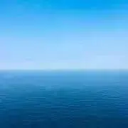 まりんの画像