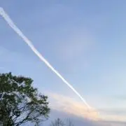 E-フラワーの画像