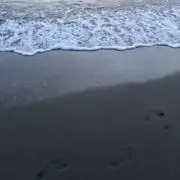 る