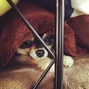 m n