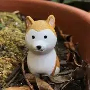 AkUの画像