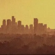 チューリップの画像