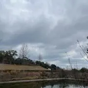 ヒトハルの画像