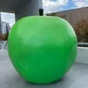 TYの画像