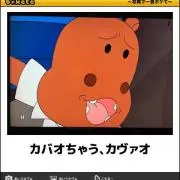 鮫