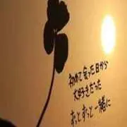 y-chan.の画像