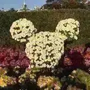 エリー☺︎の画像