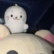 しの画像