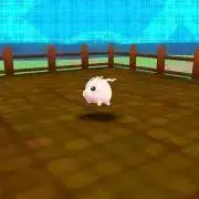 ちゃけ⭐︎プロフ必読の画像