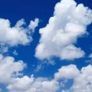 リノ(プロフ読んでください)の画像