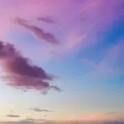 にゃらの画像