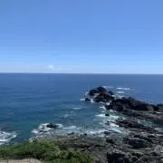 しおの画像