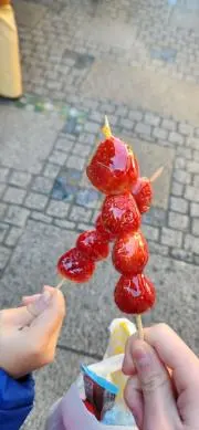 みの画像