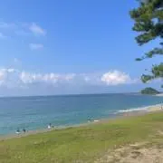 みぃ