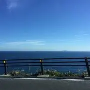 キツネ⭐️プロフ必読