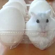 Mumu