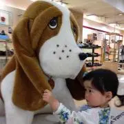 すみ