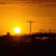 中の画像