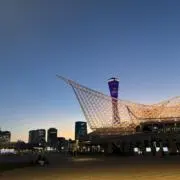 takavivaの画像