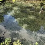 プロフ確認