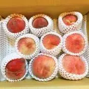 ステラオママ