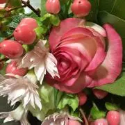 Emmamayaの画像