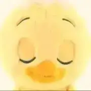 Piyo