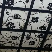 忍者の画像