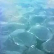 まる　※まとめ買い歓迎の画像