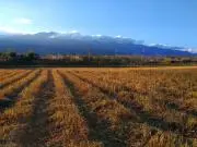 まさの画像