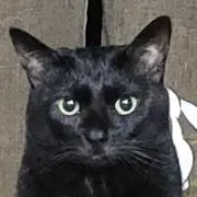 かずみんの画像