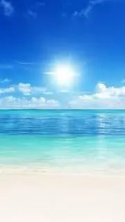 美ら海の画像