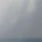 suaの画像